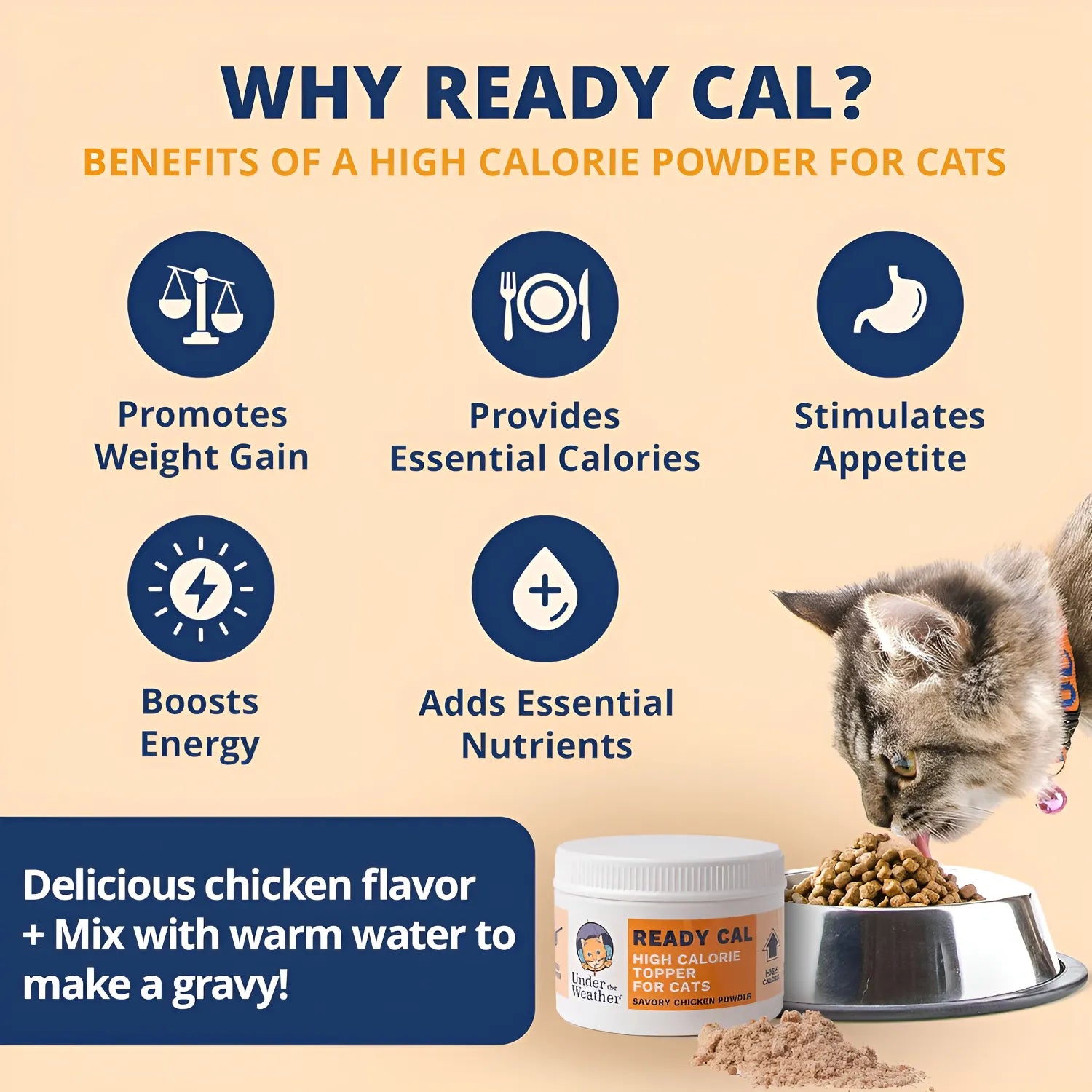 Ready Cal Powder Para Gatos Suplemento Alto Calorias Estimulante Apeti ...