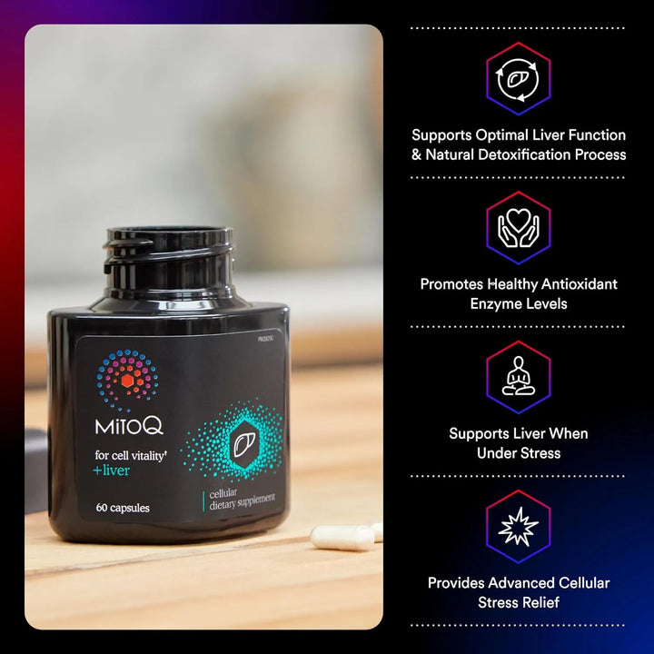 Mitoq Hígado Premium Coq10 Antioxidante Mesilato De Mitoquin - Imagen 2
