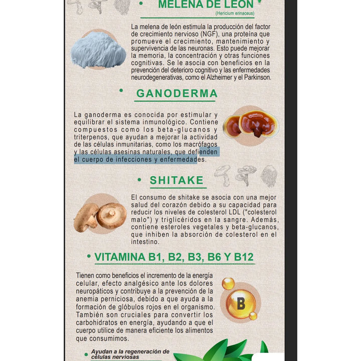 Melena De Leon Polvo + Ganoderma Lucidum + Hongo Chitake 450 Gramos Puro- Sabor Capuchino - Imagen 3