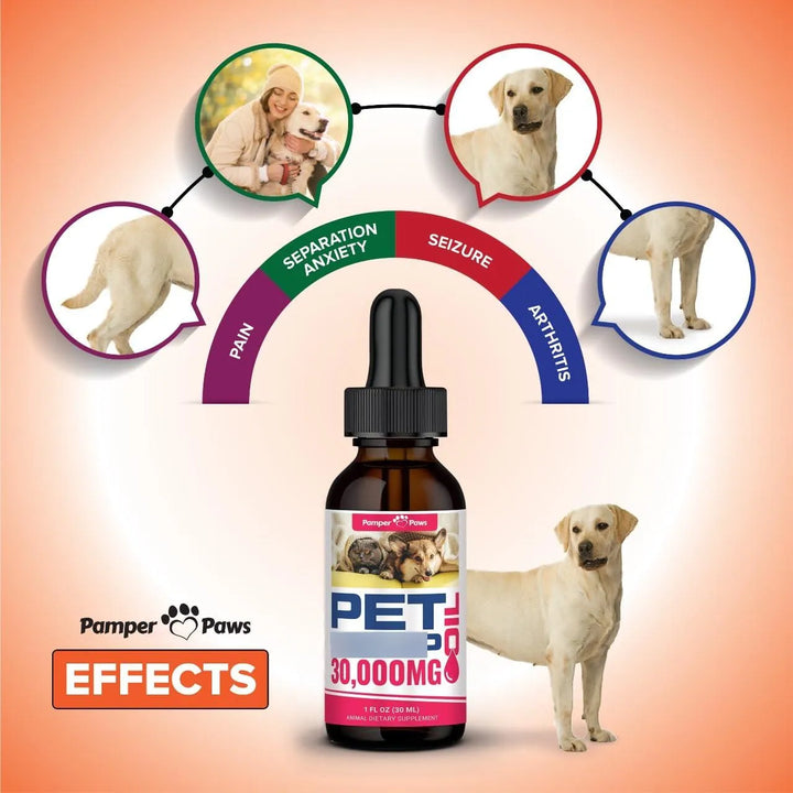 Aceite De Cáñamo Orgánico Para Perros Y Gatos Fórmula Alivio - Imagen 4