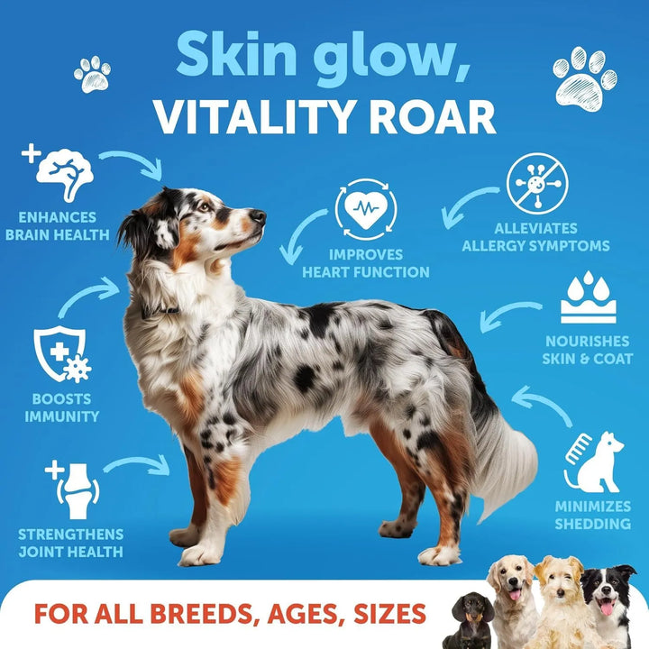 Aceite De Salmón Para Perros 240 Ml Omega 3 Natural Ácidos G - Imagen 2