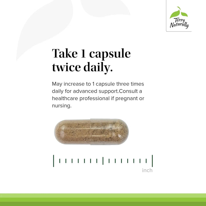 Cápsulas De Hintonia Latiflora 100 Mg 240 Porciones Paquete - Imagen 4