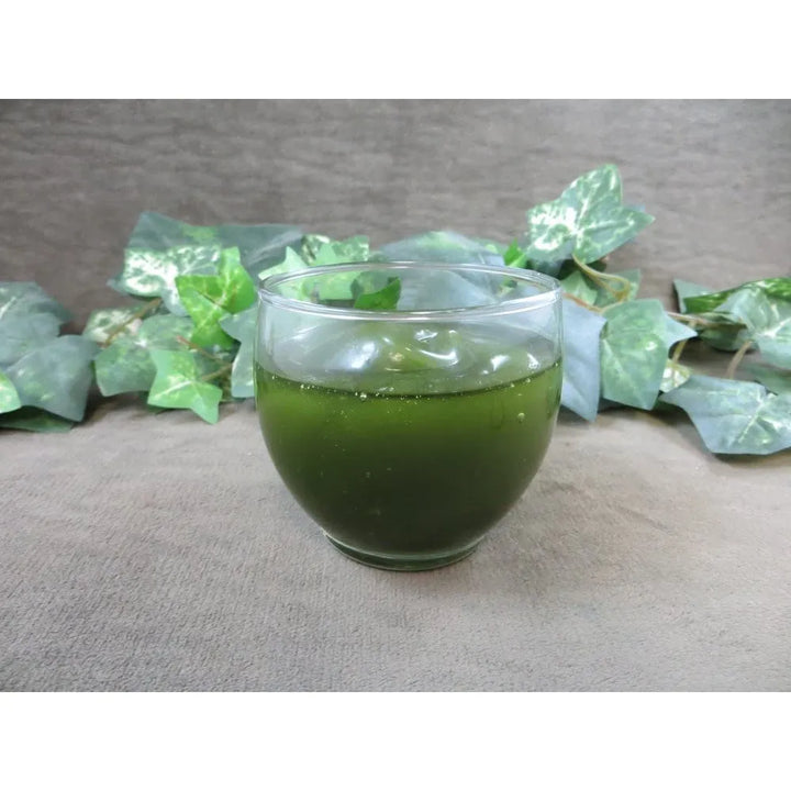 Aceite De Tamanu Puro Orgánico Prensado En Frío 473 Ml Hidra Fragancia - Imagen 4