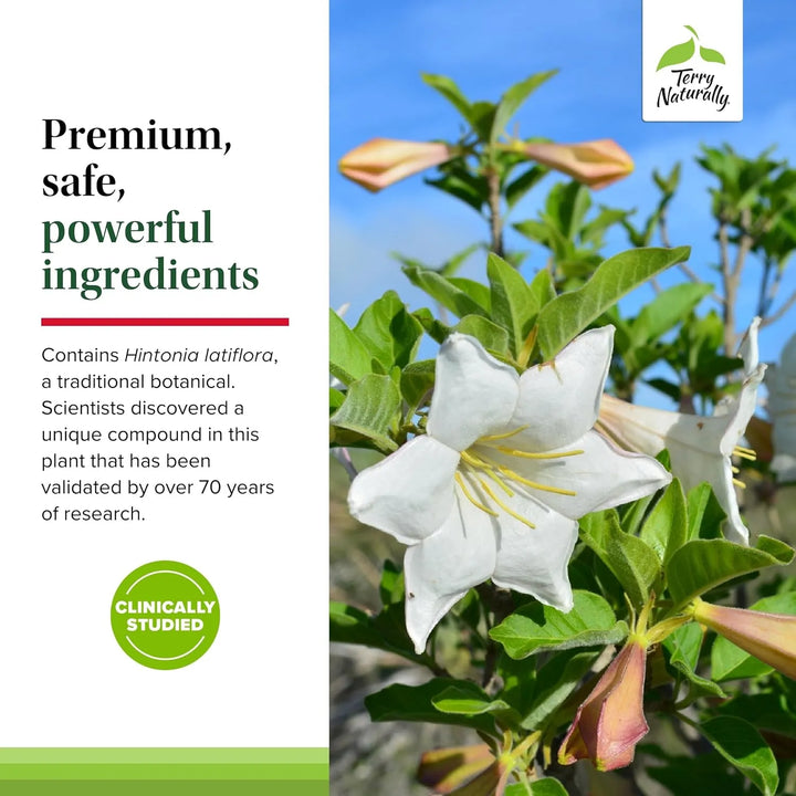 Cápsulas De Hintonia Latiflora 100 Mg 240 Porciones Paquete - Imagen 5