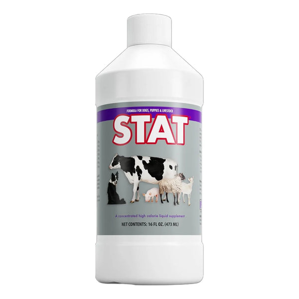 Suplemento Nutricional Alto En Calorias Sabor Vainilla Para Animales PRN Pharmacal STAT