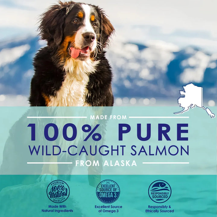 Aceite De Salmón Salvaje De Alaska Para Perros Omega 3 Piel - Imagen 2