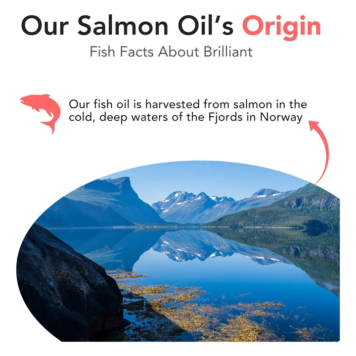 Aceite De Salmón Natural Para Perros Piel Y Pelaje Saludable - Imagen 6