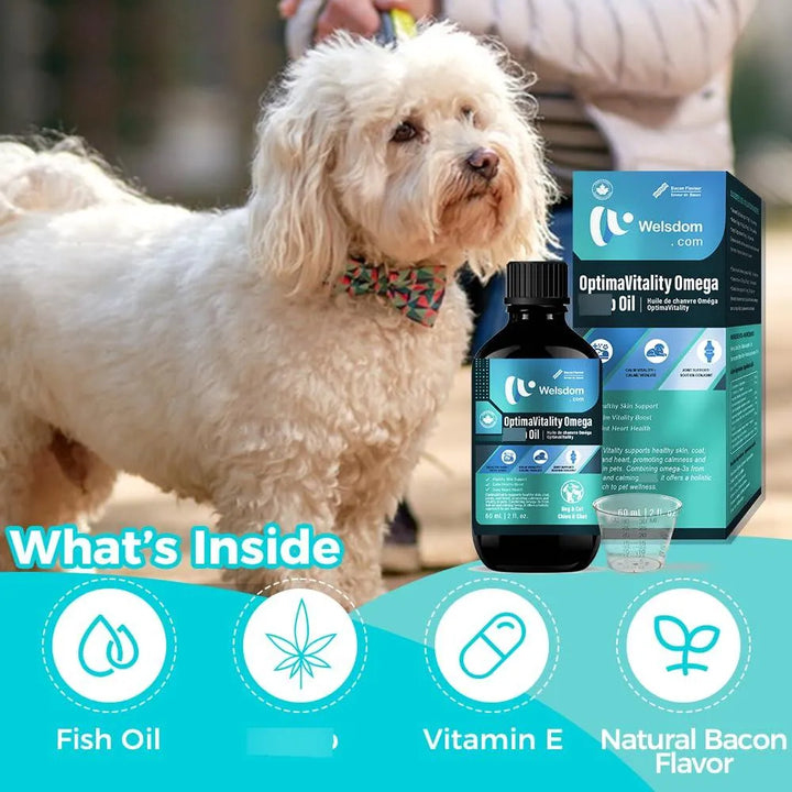 Aceite De Cáñamo Omega-3 Para Mascotas 68 Mililitros Apoya S - Imagen 5
