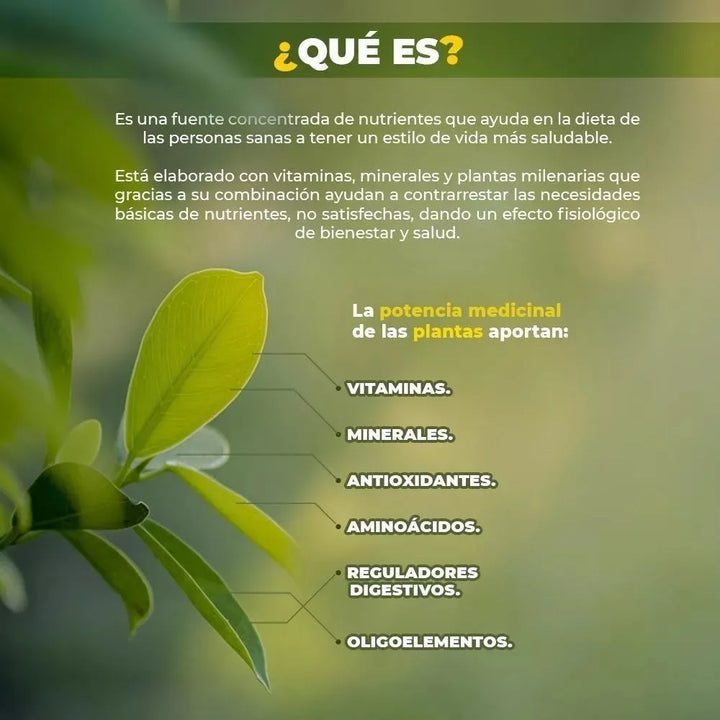 Im Fit X2 - Regula El Peso Sin Sabor - Imagen 3