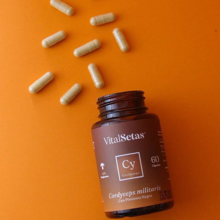 Cápsulas Cordyceps Vitalsetas Natural - Imagen 3