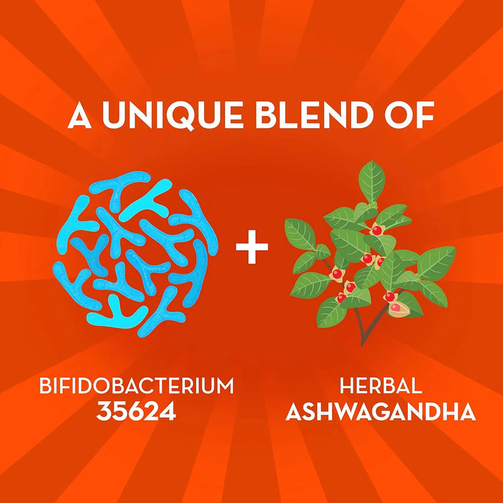 Align Probiotico Desestres Digestivo Ashwagandha 21 Capsulas - Imagen 3