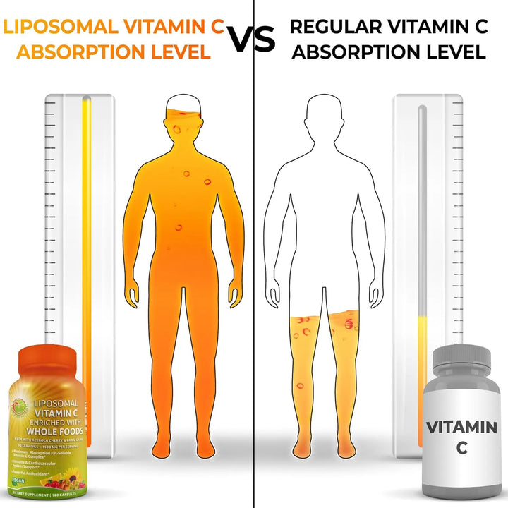 Cápsulas Liposomales Vitamina C 1500 Mg De Acerola Orgánica - Imagen 3