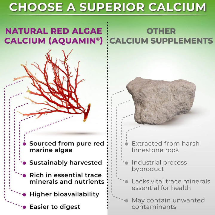 Calcio Vegetal 500 Mg Magnesio Zinc D3 Vitamina K2 Cúrcuma O - Imagen 3