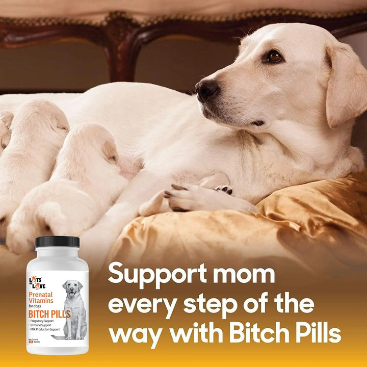 Vitaminas Prenatales Para Perros Embarazados 45 Tabletas Nut - Imagen 3