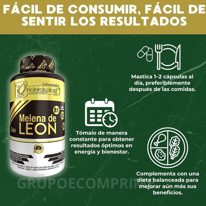 Melena De Leon Organica Hongo Natural - Imagen 7