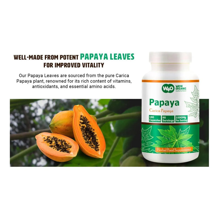 Cápsulas De Extracto De Hoja De Papaya 180 Píldoras 1000 Mg - Imagen 5