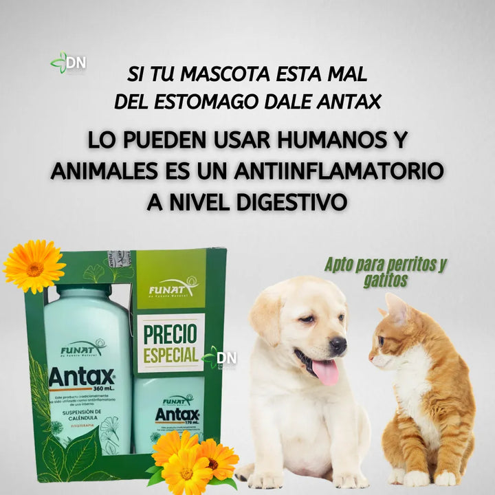 Antax Antiinflamatorio Calendul - Imagen 4