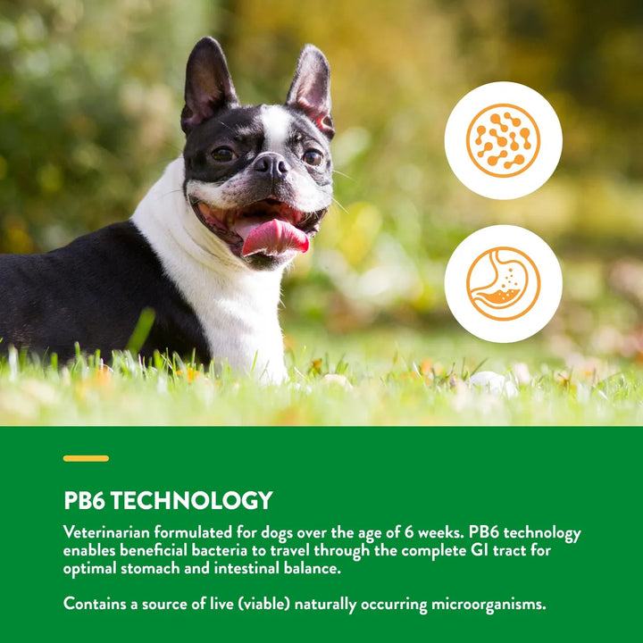 Probióticos Avanzados Veterinarios Con Enzimas Para Salud Di - Imagen 4