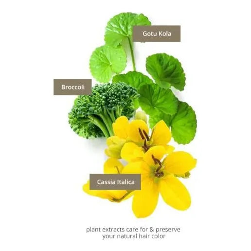 Aceite Capilar Natural Tratamiento Color Brillo Protección U - Imagen 5