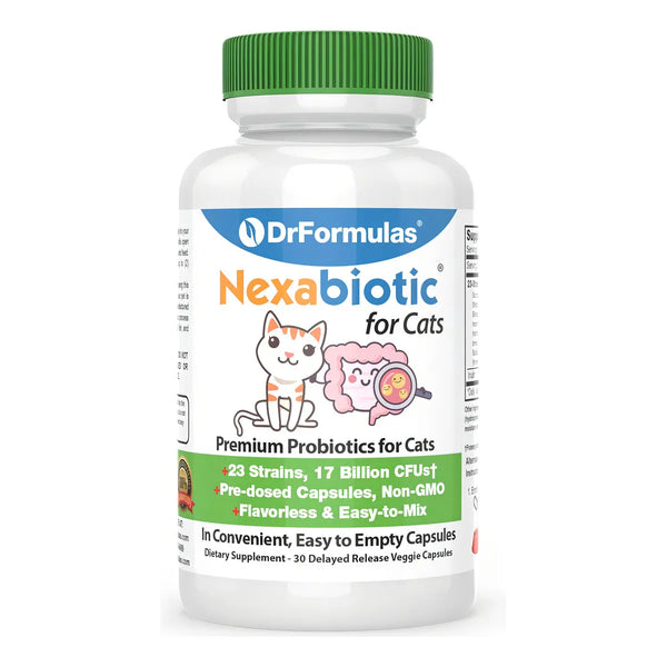 Probióticos En Polvo Para Gatos Trata Diarrea Con Saccharomy - Imagen 1