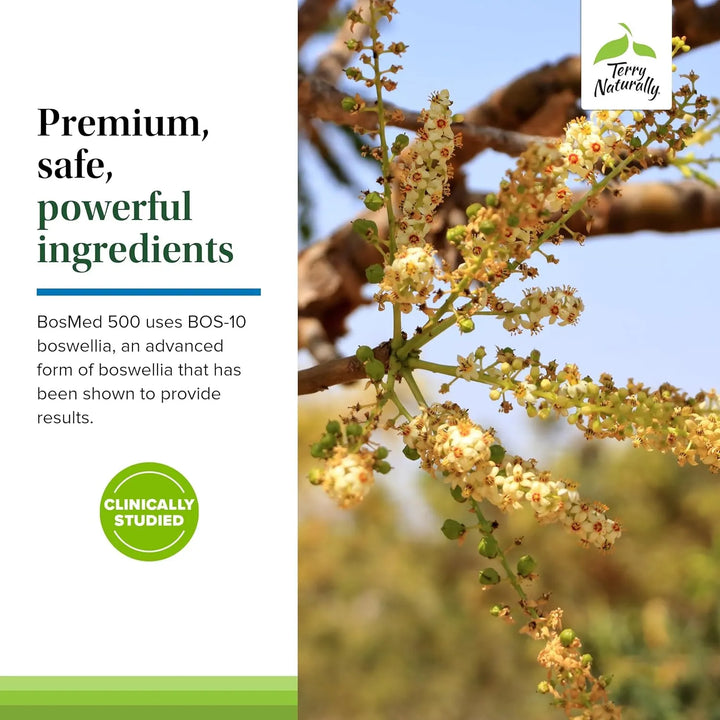 Cápsulas Blandas De Boswellia Extra Fuerte 500 Mg 60 Unidade - Imagen 5