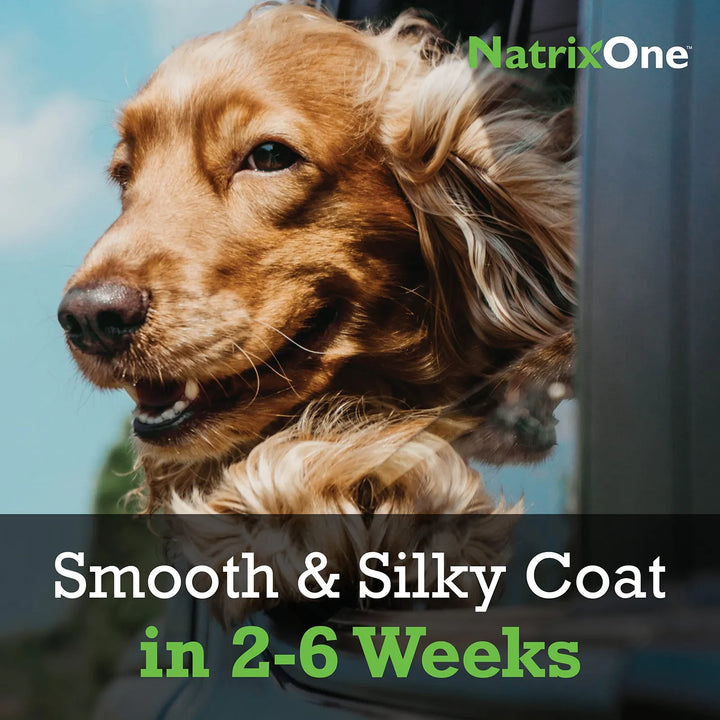 Aceite De Camelina 100% Puro Para Perros 473 Mililitros Con - Imagen 3