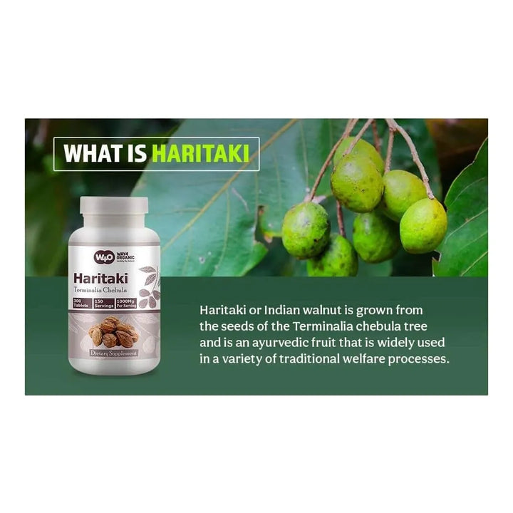 Cápsulas Haritaki Terminalia Chebula 300 Píldoras 150 Porcio - Imagen 5
