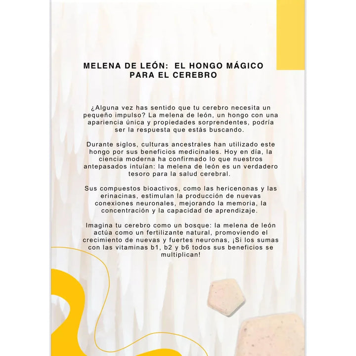 Melena De Leon Por 60 Capsulas Puro Organica 500mg Natural - Imagen 10