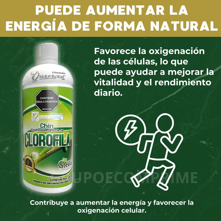 Clorofila Liquida Pura Plus 1 Natural - Imagen 7