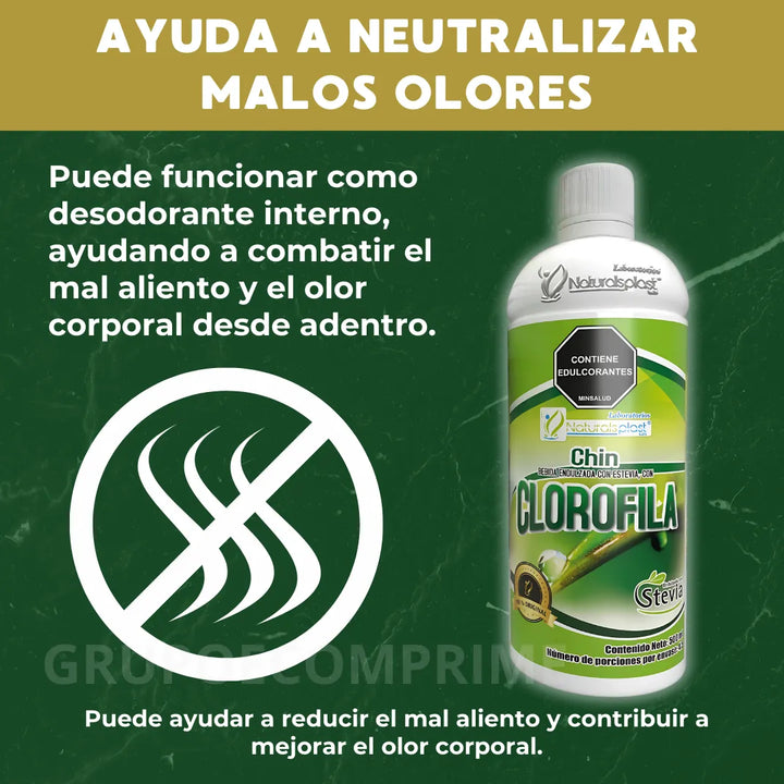 Clorofila Liquida Pura Plus 1 Natural - Imagen 3