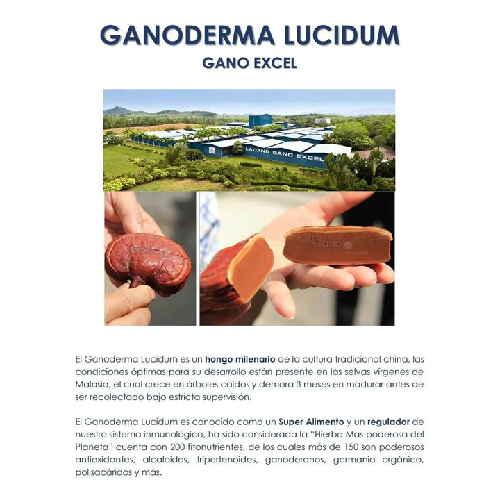 Ganocafé Clásico Tintosinazucar Tinto Negro Sin Azúcar - Imagen 5