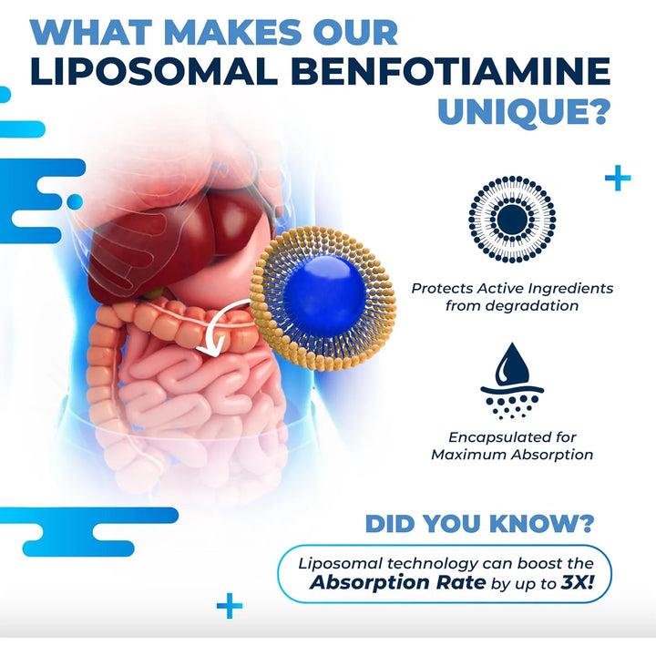 Benfotiamina Liposomal 600 Mg Vitamina B6 B12 Ácido Alfa Lip - Imagen 6