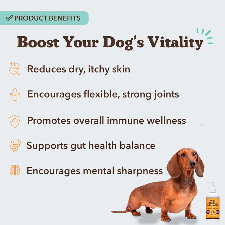 Aceite De Salmón Natural Para Perros 473 Ml Con Bomba Omega - Imagen 3