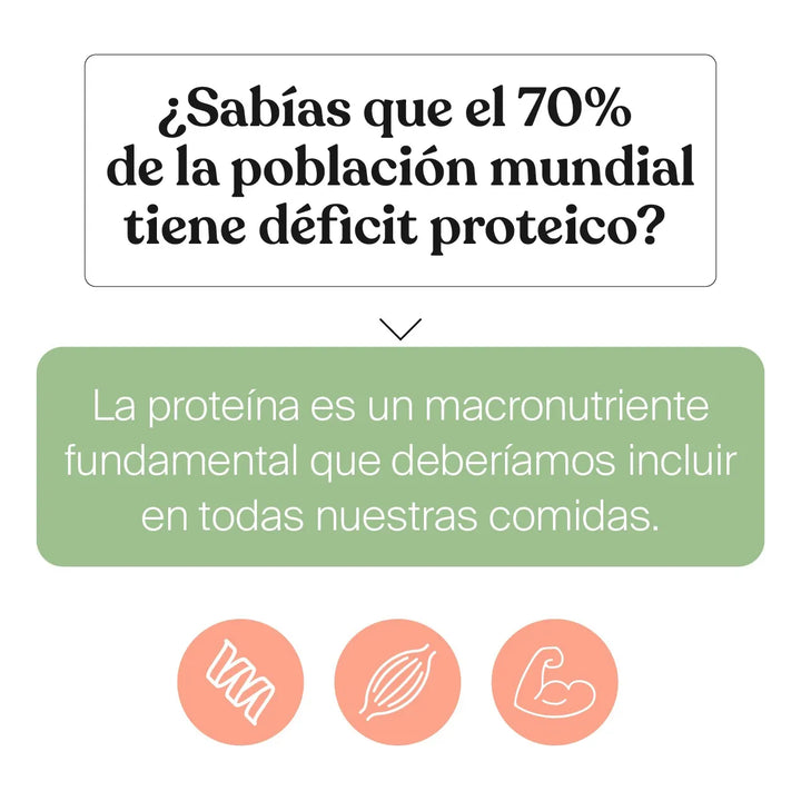 Proteína Vegana Savvy Vainilla 560g - Imagen 9