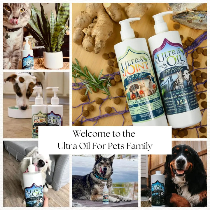 Aceite Ultra Hidratante Para Piel Y Pelaje De Perros Y Gatos - Imagen 6
