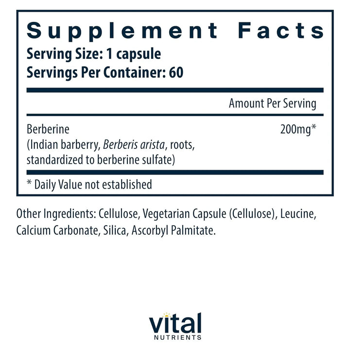 Berberina 200 Mg Apoyo Función Intestinal Niveles Triglicéri - Imagen 2