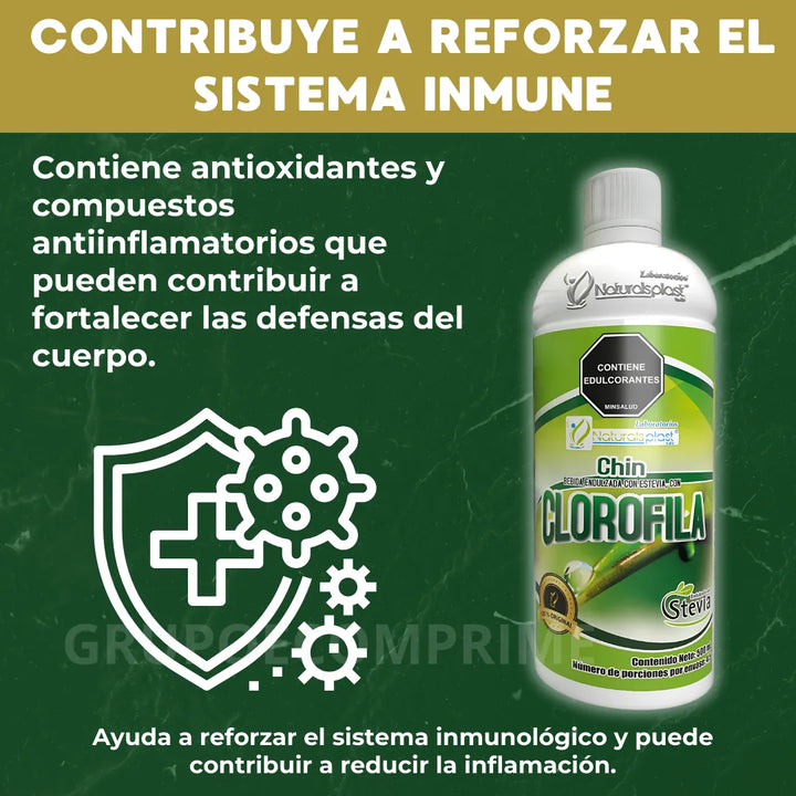 Clorofila Liquida Pura Plus 1 Natural - Imagen 4