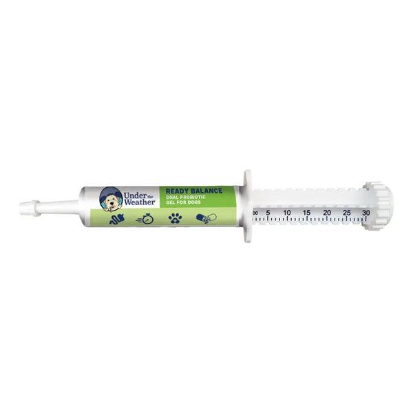 Gel Probiótico Y Prebiótico Oral Para Perros Equilibrio Digestivo Sabor Coco
