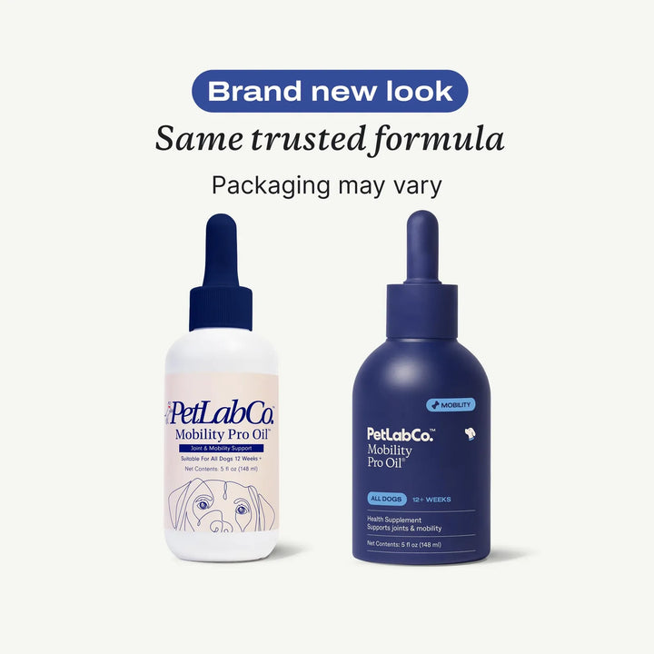 Aceite Articulaciones Movilidad Perros Curcumina Apoyo Artic - Imagen 2