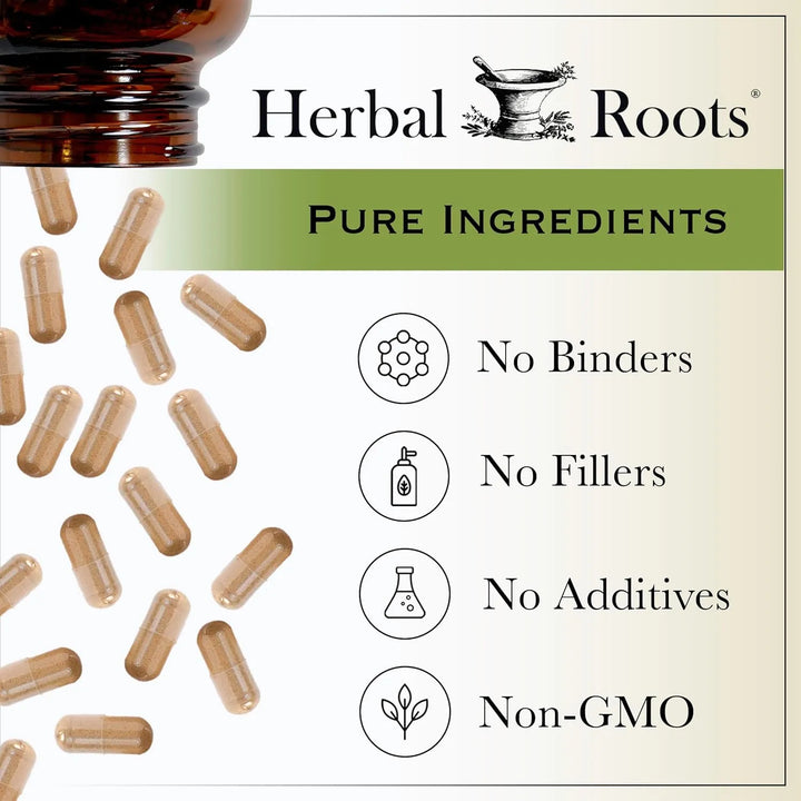Cápsulas De Saúco Negro 4300 Mg Apoyo Inmunológico Orgánico - Imagen 6