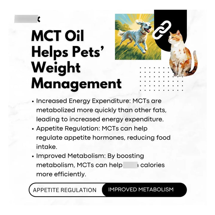 Aceite Mct Orgánico Grado Humano Para Perros Y Gatos 946 Ml - Imagen 5