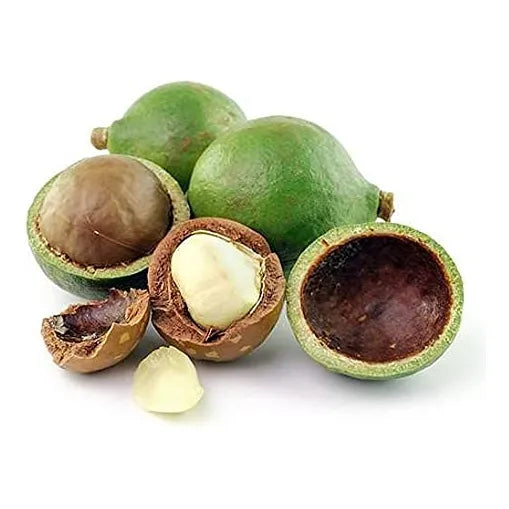 Aceite De Tamanu Puro Orgánico Prensado En Frío 473 Ml Hidra Fragancia - Imagen 6