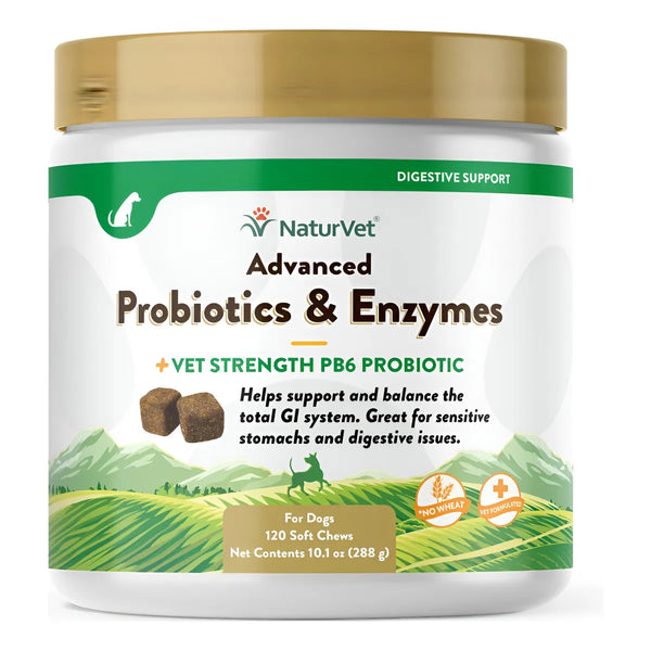 Probióticos Avanzados Veterinarios Con Enzimas Para Salud Di - Imagen 1