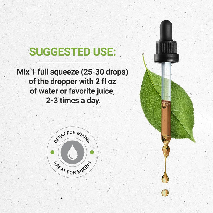 Extracto Líquido De Canela De Ceilán 120 Ml Corteza Seca Sin - Imagen 3