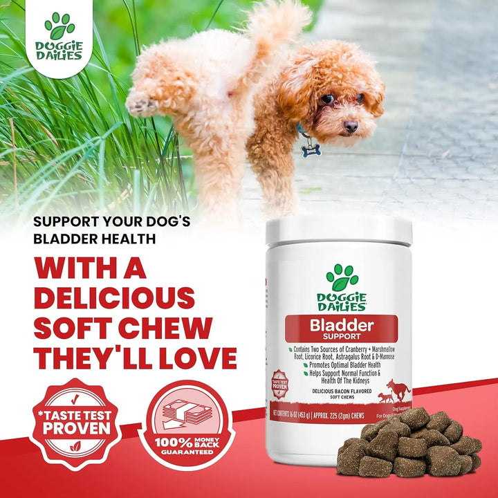 Masticables Suaves Para Perros De Arándano 225 Unidades Sopo - Imagen 5