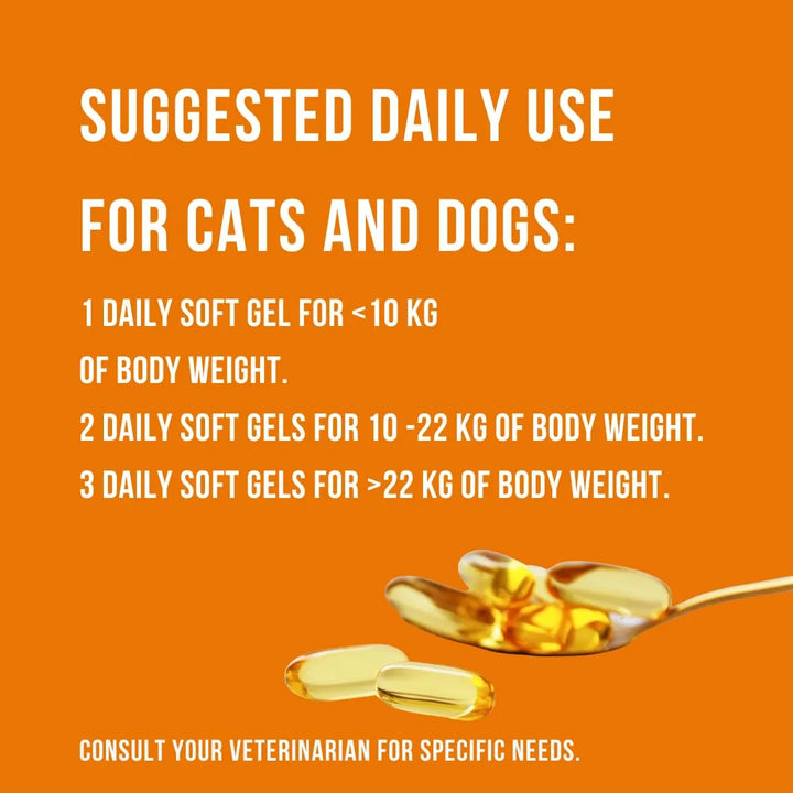 Aceite De Pescado Omega 3 Puro Para Perros Y Gatos Apoyo Art - Imagen 7