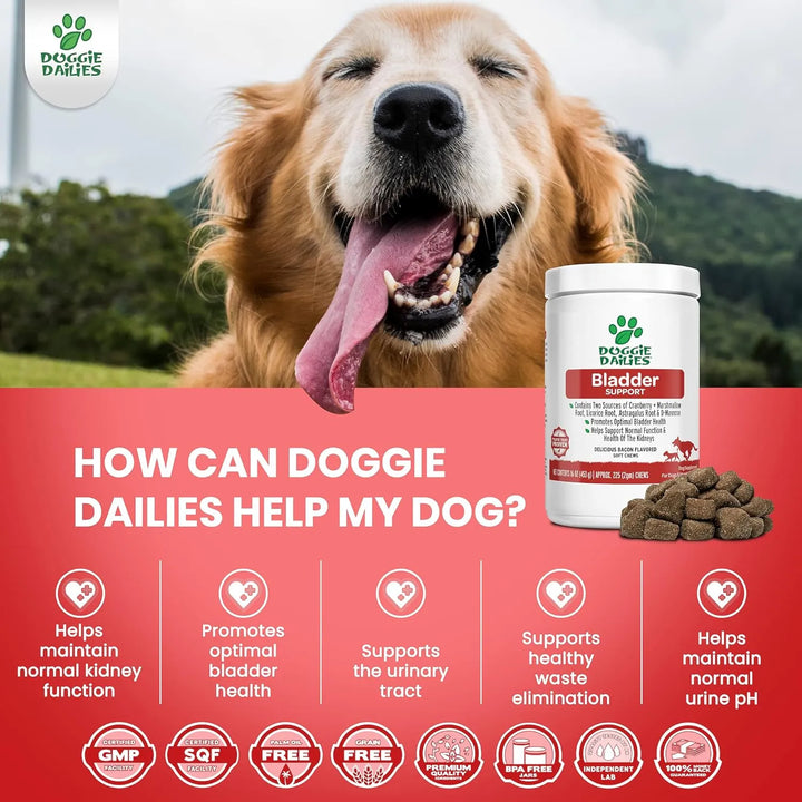 Masticables Suaves Para Perros De Arándano 225 Unidades Sopo - Imagen 3