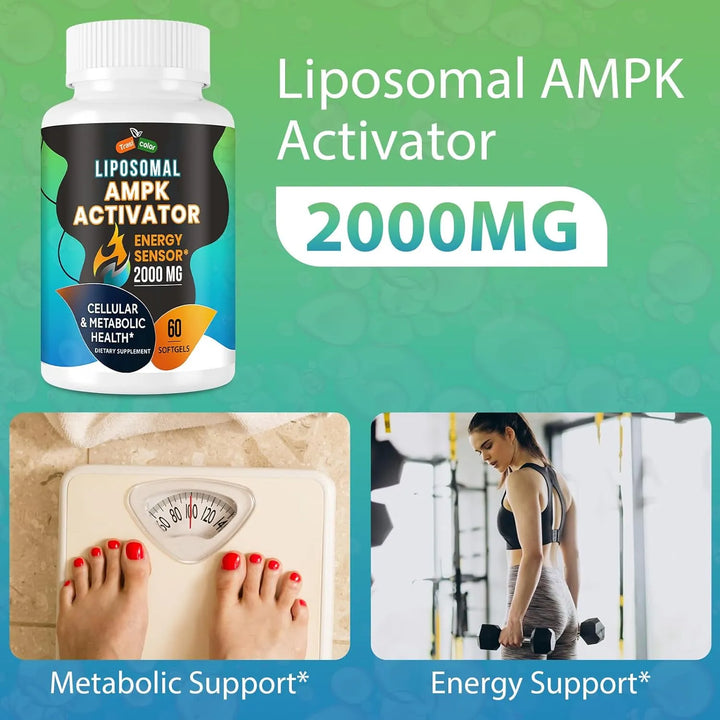 Activador Ampk 2000 Mg Liposomal Alta Absorción Berberina Di - Imagen 2