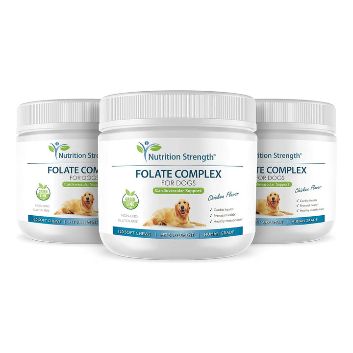 Folato Para Perros Salud Cardiovascular Prenatal Adn Manteni - Imagen 5