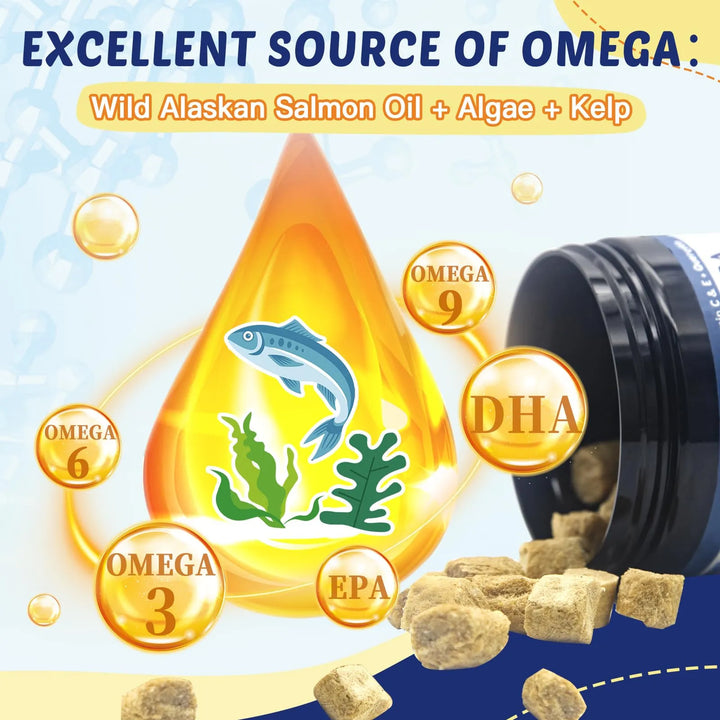 Aceite De Salmón Omega 3 Para Perros Mejora Piel Pelaje Aliv - Imagen 3